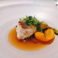 代官山ASO チェレステ 日本橋店 - メイン　本日の鮮魚のサルタート　様々な海藻のナージュ仕立て