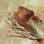 鮨井 - 車海老の頭