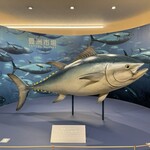 鳥めし 鳥藤 豊洲市場 - 