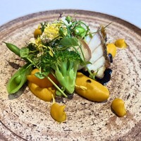 山地陽介 - 