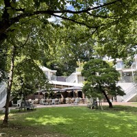 Loiseau de France -  Loiseau de France -