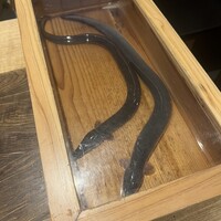 にょろ助 銀座 - 