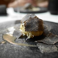 TACUBO - 