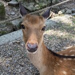 日本料理 滴翠 - 