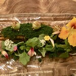 Fujiya 1935 - 鮎　ルッコラセルバチコ