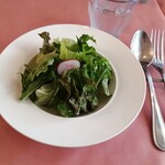 シェガーノ - 自家製ドレッシングのサラダ♪