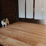 お菓子とくつろぎとこむぎさん - お見送りしてくれるこむぎさん