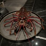 おちあいろう - 