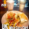 ユーケーワイルドキャッツカフェ 西宮武庫川店 