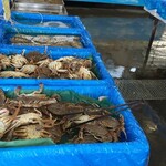 マルサお魚センター - 