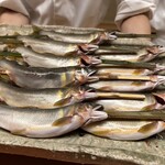 徳ㇵ本也 - 立派な和良鮎　