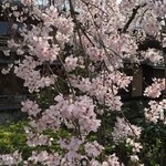 天ぷら割烹 嵯峨野 (ホテル日航プリンセス京都) - 