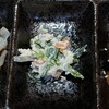 自由気まま