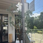 コンセントマーケット - 