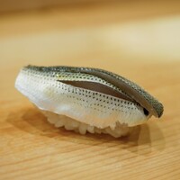 鮨 しゅん輔 阿佐ヶ谷 - 小鰭