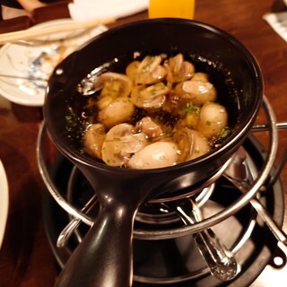 ブラッカ・ブロッコ_0