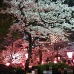 Nikuryouri To Wain Yuzan - おまけの夜桜ですｗ