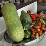 JiProign - 真夏の冬瓜登場^_^