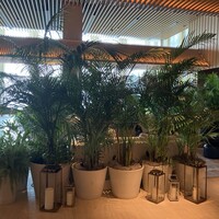 The Blue Room - 31階のエレベーターを降りると緑が広がる