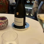 ポンドールイノ - 