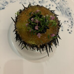 ポンドールイノ - 