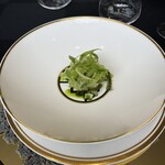 クイントカント - 