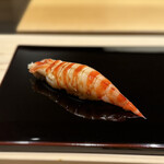 鮨 ゆうき - 車海老