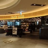 BLUE YARD - 