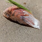 鮨 なかや - 鯵（釣り）