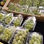 フレッシュ・クラブ - 