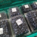 フレッシュ・クラブ - ブルーベリーは冷凍しておけます　ヨーグルトとはちみつを入れてよくスムージーを作っていました