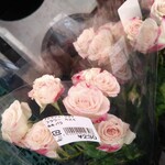フレッシュ・クラブ - 可愛いバラも売っています　