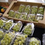 フレッシュ・クラブ - 大阪さんのシャインマスカット