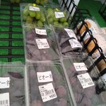 フレッシュ・クラブ - ピオーネ