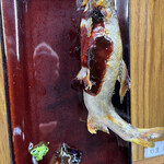 美濃観光ヤナ - 