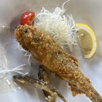 美濃観光ヤナ - 