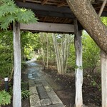 麦家 - 忘れかけていた自然の中に