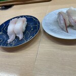 寿司本家 - かさご　縞鯵