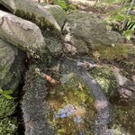 麦家 - 蛍のゆりかご