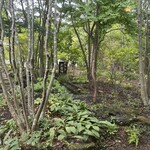 麦家 - 軽井沢の様な庭