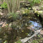 麦家 - カワニナが。