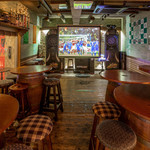 IRISH PUB BLUE DOLPHIN - 