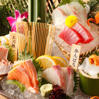 紀州・串本を始め、全国の漁港より朝獲れ魚介を毎日直送！