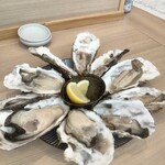 かきのおきて - 