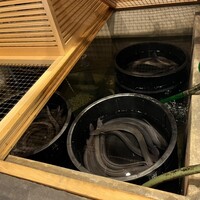 うなぎのしろむら -  うなぎのしろむら -