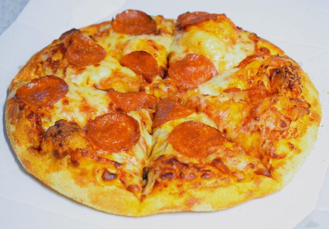 ドミノピザ 宮町四丁目店（Domino's Pizza） - 東照宮（ピザ）の写真