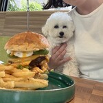 evergreen cafe restaurant EBISU - 