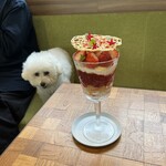 evergreen cafe restaurant EBISU - 