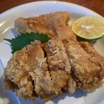 ひわさ屋 - 阿波尾鶏唐揚げコンビ　もも肉とむね肉