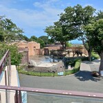 エレファントカフェ - テラスより